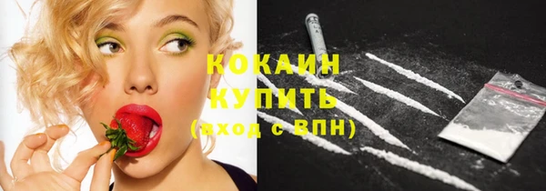 тгк Протвино