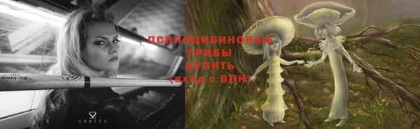 МДМА Приозерск