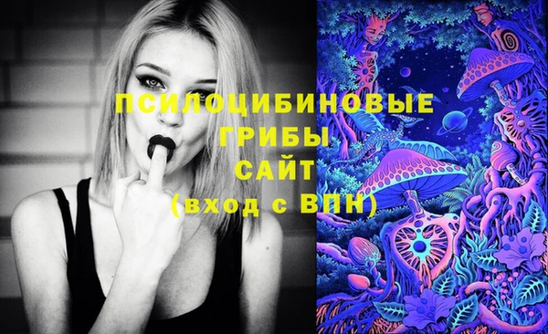 тгк Протвино