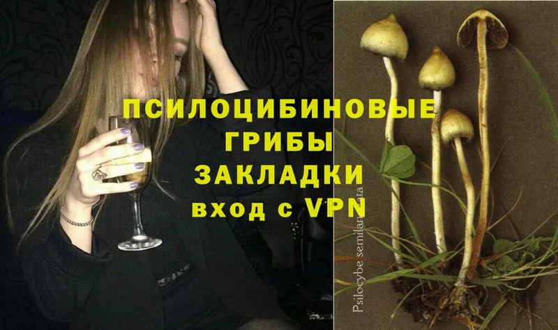 продажа наркотиков  Алексеевка  Галлюциногенные грибы Magic Shrooms 