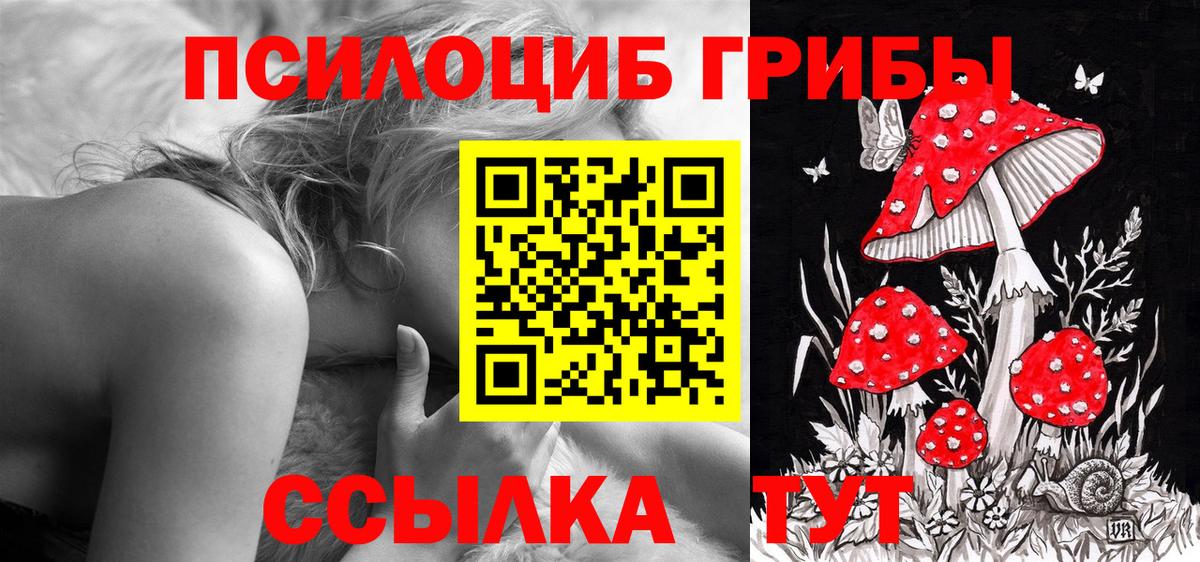 Галлюциногенные грибы GOLDEN TEACHER Алексеевка