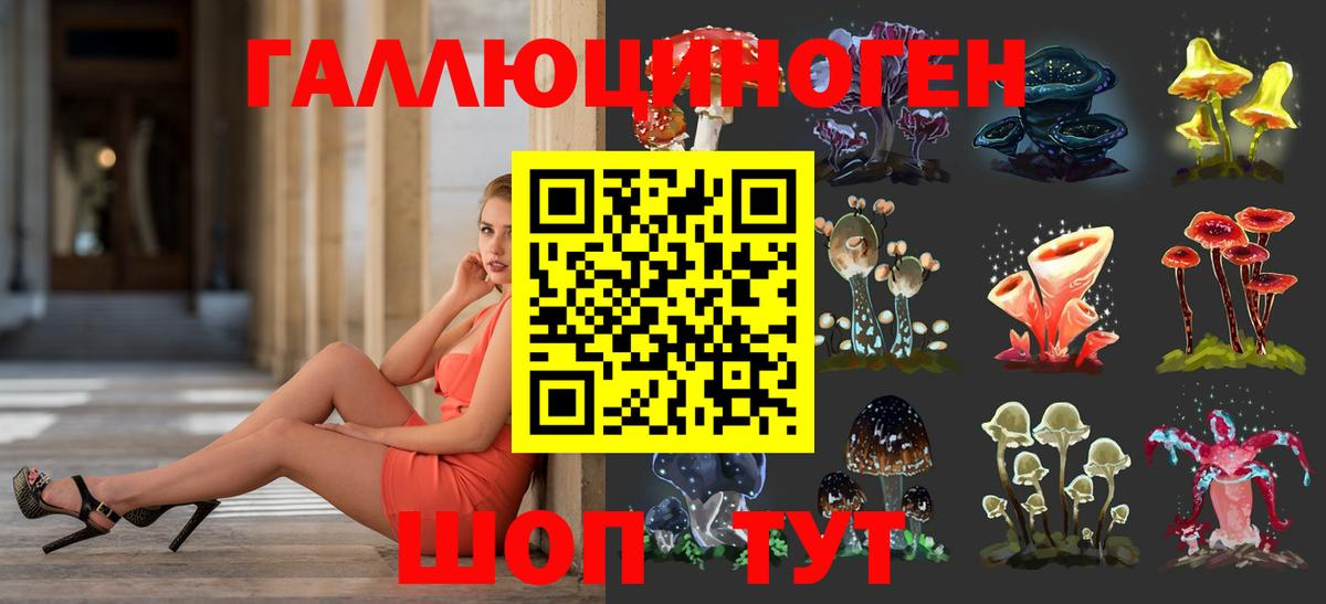 Псилоцибиновые грибы прущие грибы Алексеевка