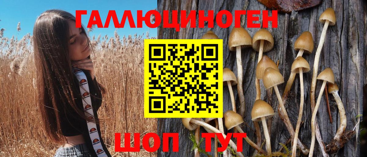 Алексеевка  Галлюциногенные грибы Psilocybine cubensis  Вход с VPN 